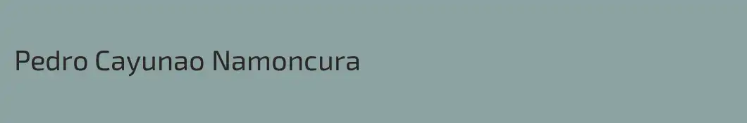 Pedro Cayunao Namoncura